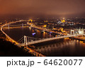 Panoramic view of evening Budapest from Gellert Hill. 64620077