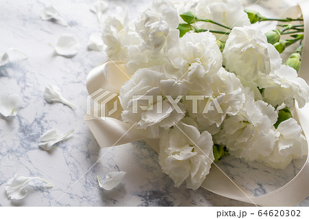 白いカーネーションの花束の写真素材