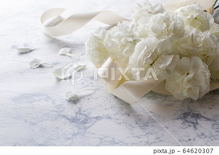 白いカーネーションの花束の写真素材