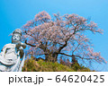 お地蔵様と桜 64620425