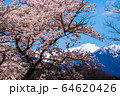 春の谷川岳 64620426