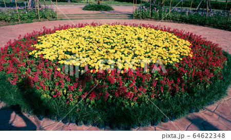 Aerial view landscape landmark famous of Mae Moh 64622348