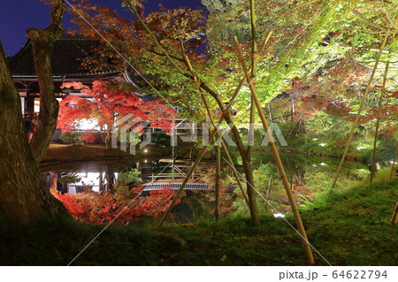 【京都府】高台寺月真院の紅葉ライトアップ 【京都府】高台寺月真院の紅葉ライトアップ 64622794