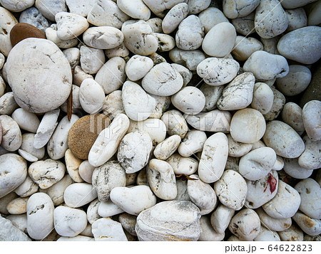 Rock white in garden.White pebbles Rock white in garden.White pebbles 64622823
