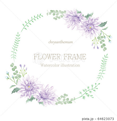 菊の花のフレーム　水彩イラスト 64623073