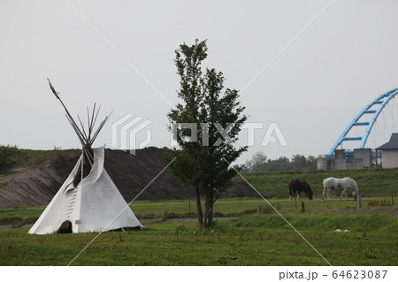 ティピーテントと馬_北海道 64623087