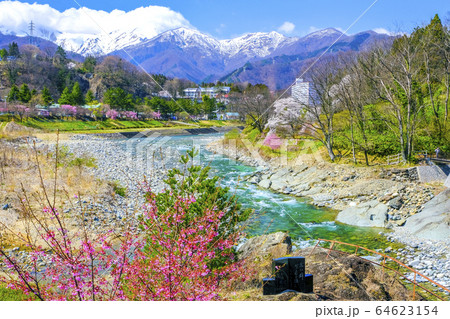 春の利根川と雪山2 春の利根川と雪山2 64623154