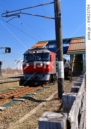 春の北海道白老町JR社台駅を通過する貨物列車の風景を撮影 64623704