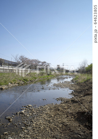 東村山浄水所付近の空堀川 東村山浄水所付近の空堀川 64623805