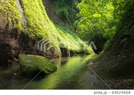 由布川渓谷の渓谷美 由布川渓谷の渓谷美 64624608