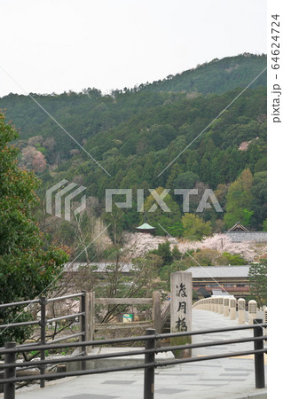 渡月橋 64624724