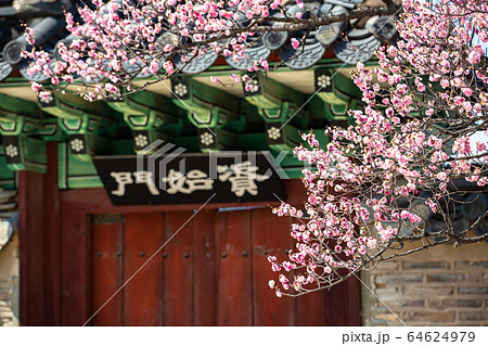 韓国 伝統 故宮 64624979
