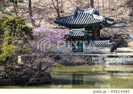 韓国 伝統 故宮 64624980