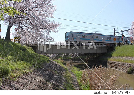 奈良市佐保川の鉄橋と桜並木 64625098