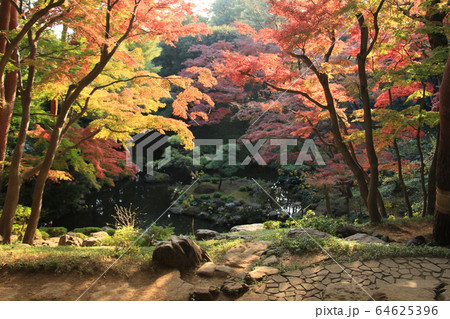 殿ヶ谷戸庭園の紅葉~休屋からの眺め 殿ヶ谷戸庭園の紅葉~休屋からの眺め 64625396