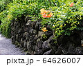 済州島 石垣 海 64626007