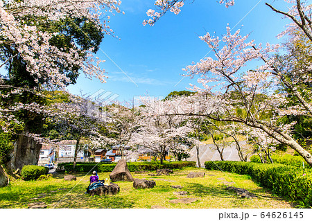大悲観公園の桜　【長崎県佐世保市】 64626145