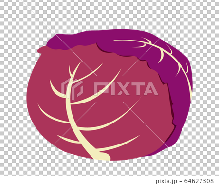 cabbage cabbage 64627308