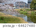 さいたま市／井沼方公園（春） 64627480