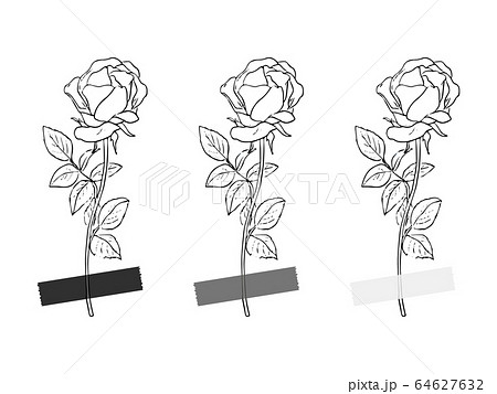 3本の薔薇 白黒のイラスト素材