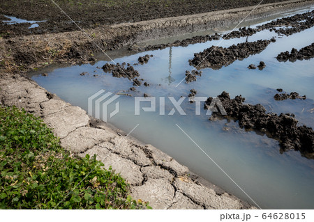 畦塗り 雨上がりの春の水田 e-1 畦塗り 雨上がりの春の水田 e-1 64628015