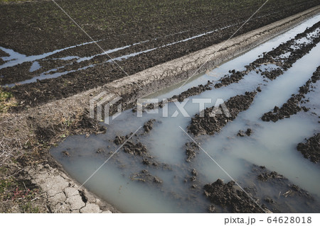 畦塗り 雨上がりの春の水田 f-2 マット仕上げ 畦塗り 雨上がりの春の水田 f-2 マット仕上げ 64628018