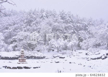 冬 大雪 目 64628832