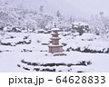 目 冬 トップ 64628833