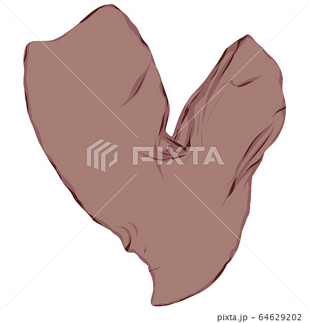 海藻　紅藻類　ベクター素材　ベニフクロノリ 64629202