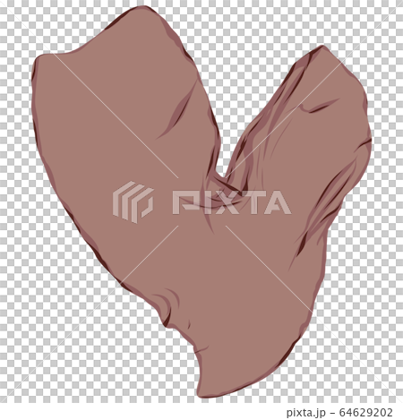 海藻　紅藻類　ベクター素材　ベニフクロノリ 64629202