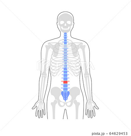 Human spine pain vector illustration Human spine pain vector illustration 64629453