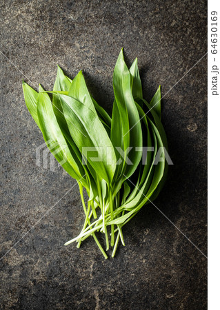 Green wild garlic leaves. 64630169