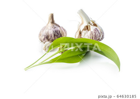 Green wild garlic leaves and garlic bulb. Ramsons 64630185