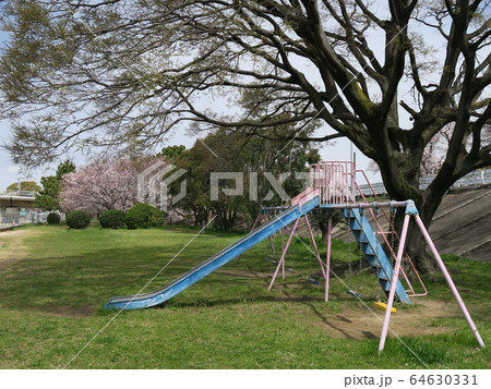 桜咲く武庫川河川敷緑地 64630331