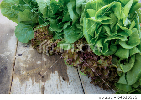 Vegetables of wet on wood. 64630535