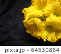 かぼちゃの花 64630864