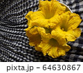 かぼちゃの花 64630867