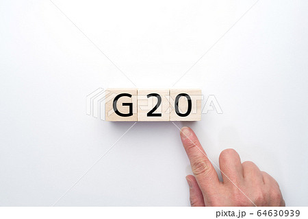 イメージ　G20 64630939