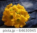 かぼちゃの花 64630945