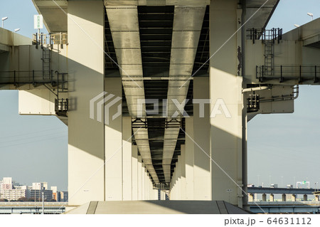荒川　河川敷 64631112