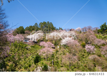 善峯寺 64631433