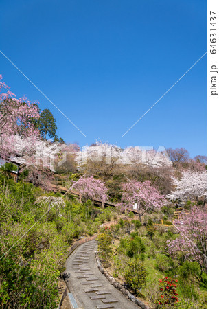 善峯寺 64631437