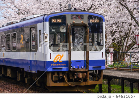 能登さくら駅の桜満開 能登さくら駅の桜満開 64631657