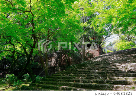 竹林寺の階段 64631825