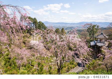 善峯寺 64631871