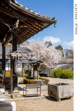 善峯寺 善峯寺 64631874