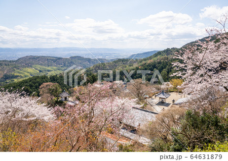 善峯寺 善峯寺 64631879
