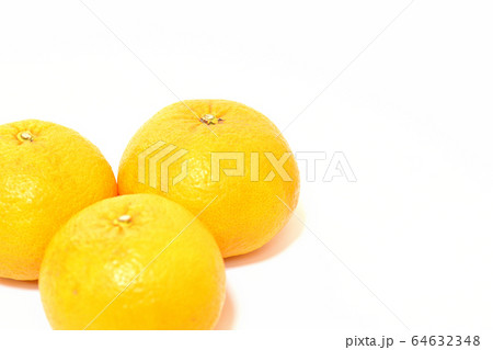 果物 甘夏みかん 果物 甘夏みかん 64632348