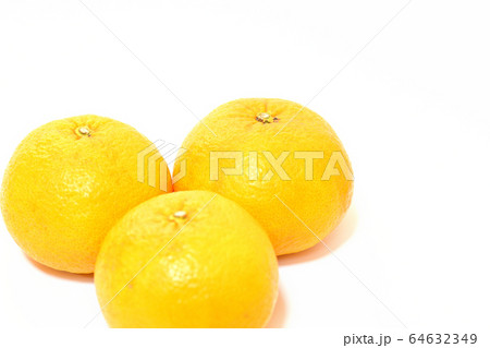 果物　甘夏みかん 64632349
