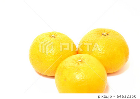 果物　甘夏みかん 64632350